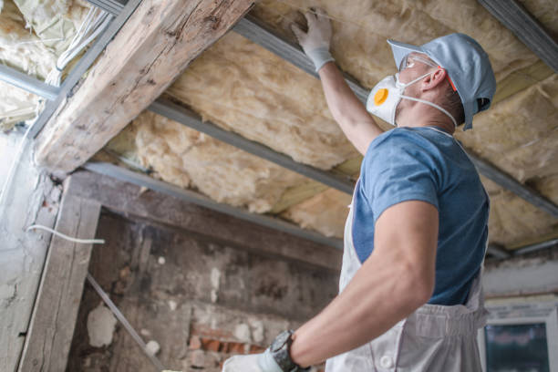 Best Insulation Replacement Services  in Van Buren, MO