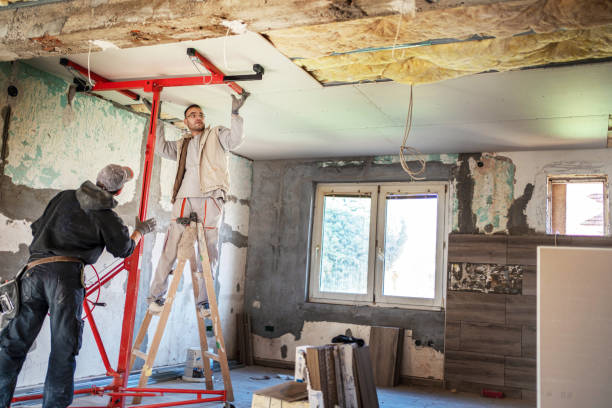 Best Best Insulation Companies  in Van Buren, MO