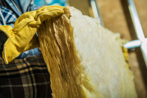 Best Insulation Contractor Near Me  in Van Buren, MO