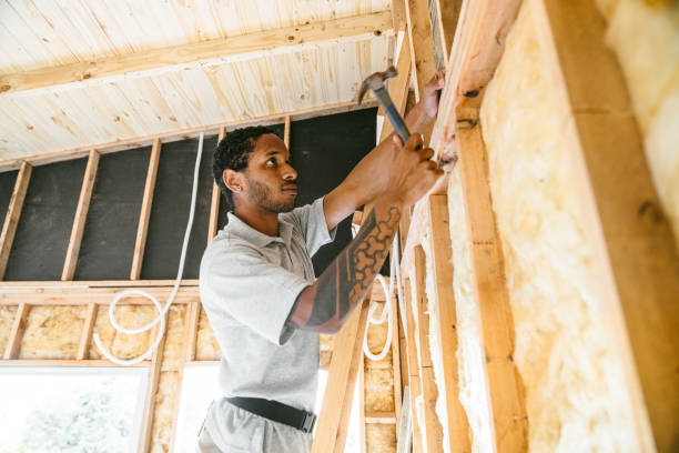 Best Insulation Inspection Services  in Van Buren, MO