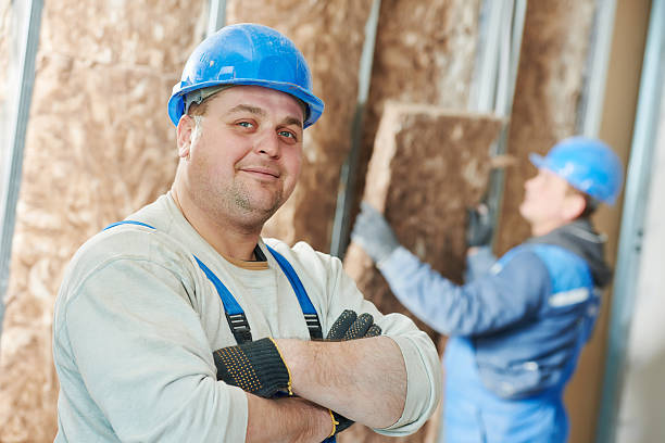 Best Spray Foam Insulation  in Van Buren, MO